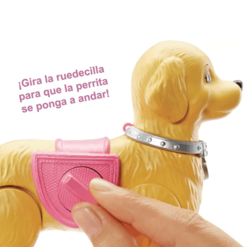 Popo Barbie Y Perrito De Ruedas Barbie Carrera De Perritos Barbie Paseo Barbie Y Su