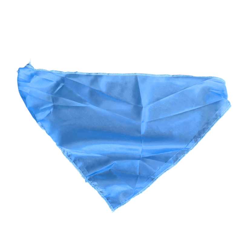patr-2.png